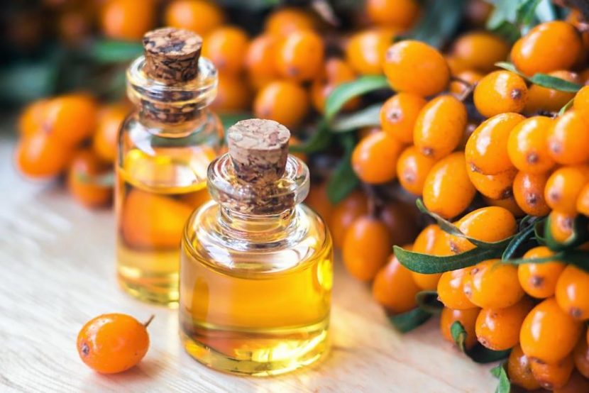 The Power of Natural Oils in Skincare: Sea Buckthorn, Squalane, Rosehip, Apricot, Fractionated Coconut Oil, and Vitamin E